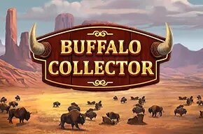 Buffalo Collector